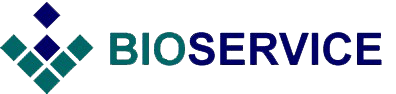 Footer Logo